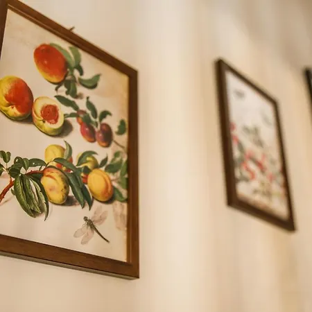 Tatil Evi Cielo Blu Casa Alpina Vialattea *